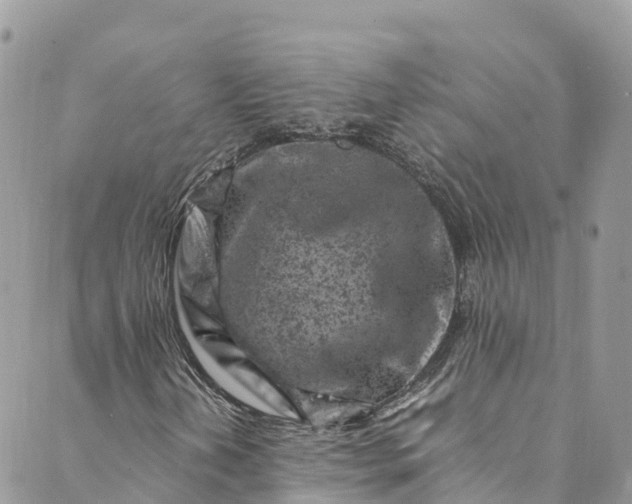 X0000089431202200706291305