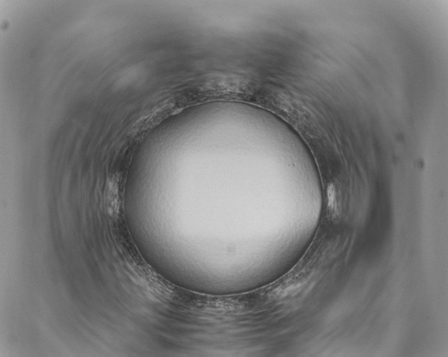 X0000089431203200706291305