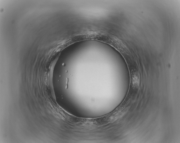 X0000089431204200706291305