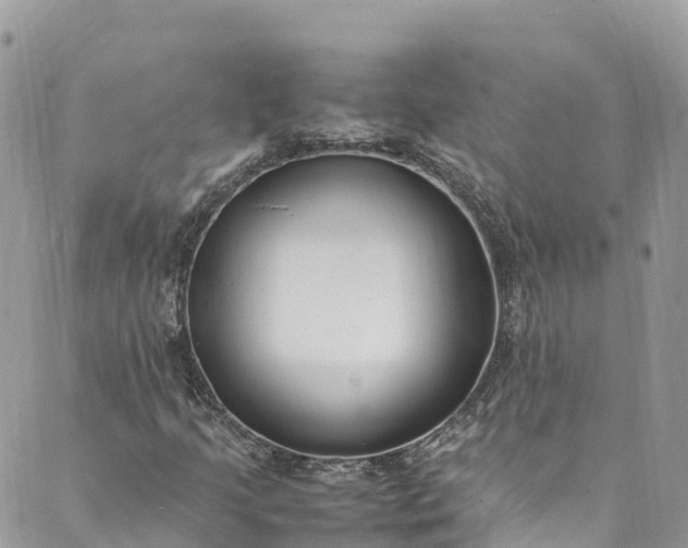 X0000089431205200706291305