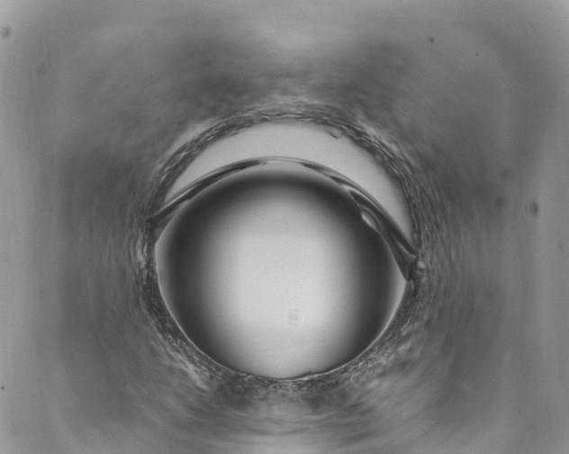 X0000089431206200706291305