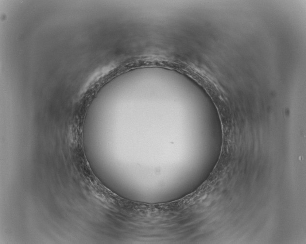 X0000089431207200706291305