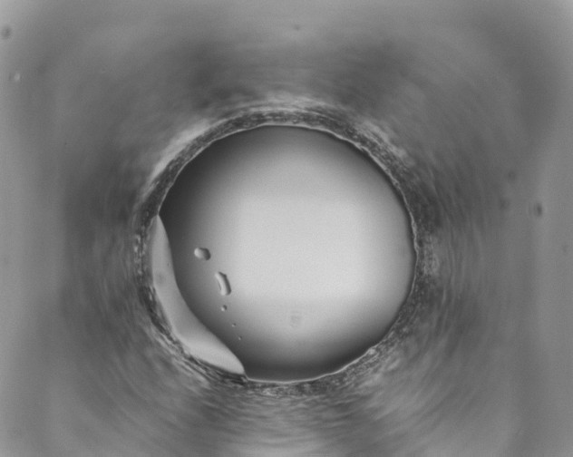 X0000089431208200706291306