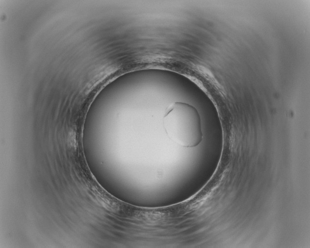 X0000089431209200706291306