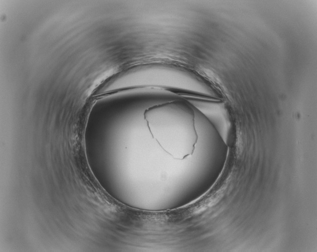 X0000089431210200706291306