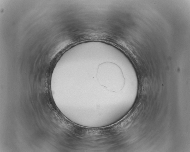 X0000089431211200706291306