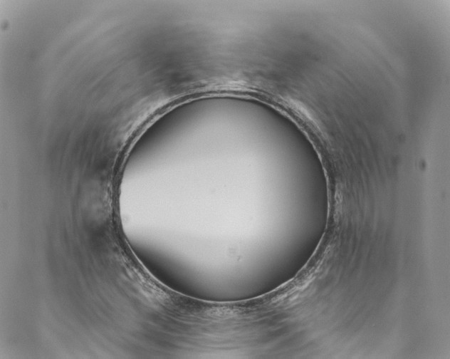 X0000089431212200706291306