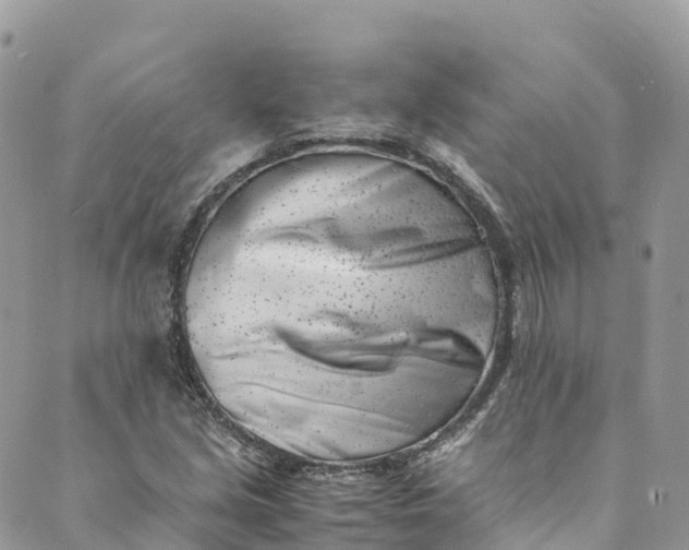 X0000089431213200706291306