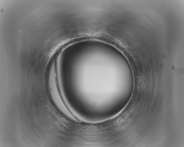 X0000089431214200706291306