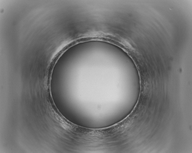 X0000089431216200706291306