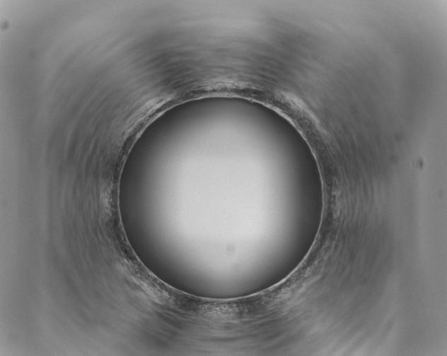 X0000089431217200706291306