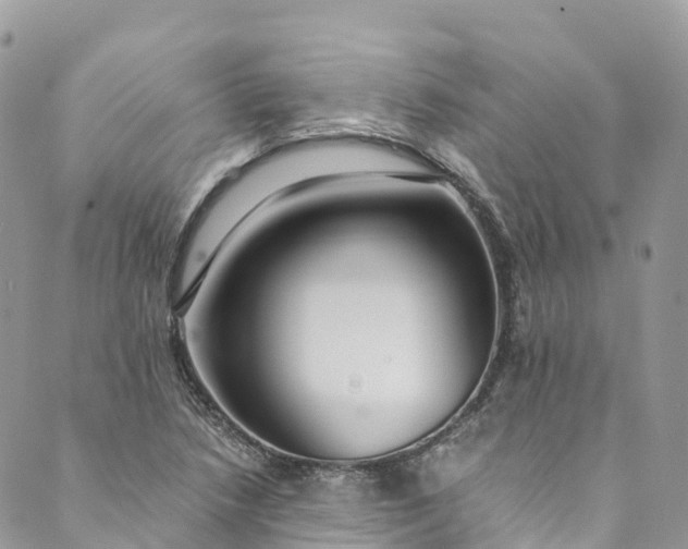 X0000089431218200706291306