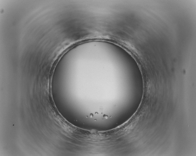 X0000089431220200706291306