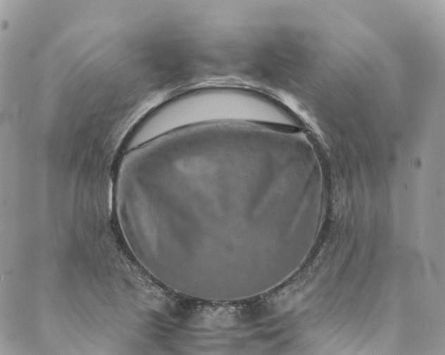 X0000089431221200706291306