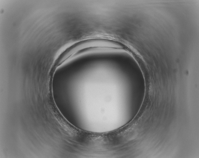 X0000089431222200706291306