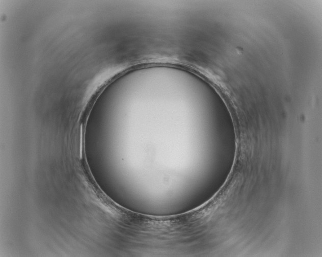 X0000089431223200706291306