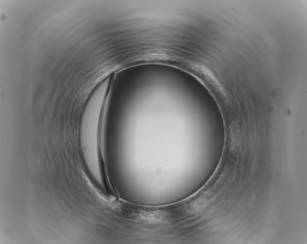 X0000089431225200706291306