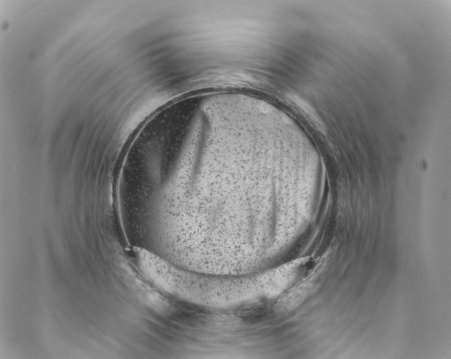 X0000089431226200706291306