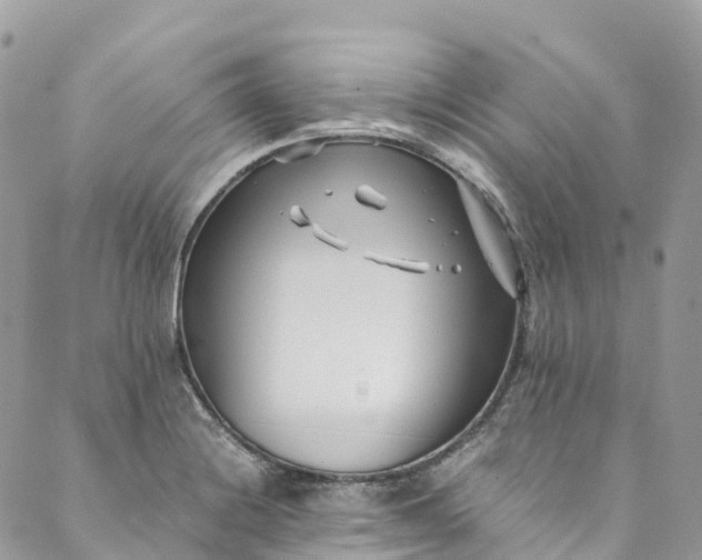 X0000089431228200706291306