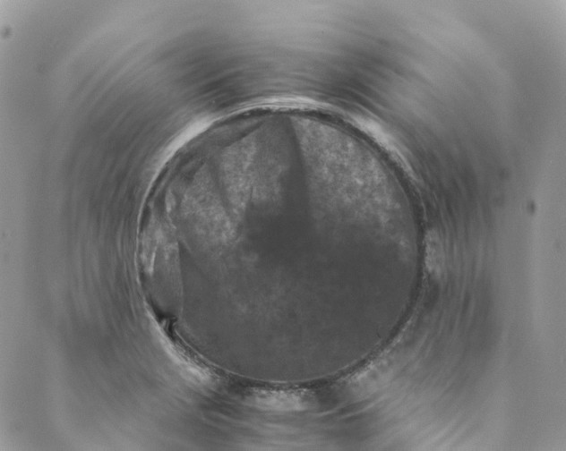 X0000089431229200706291306