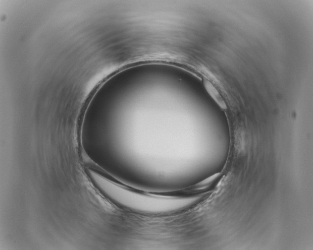 X0000089431230200706291306