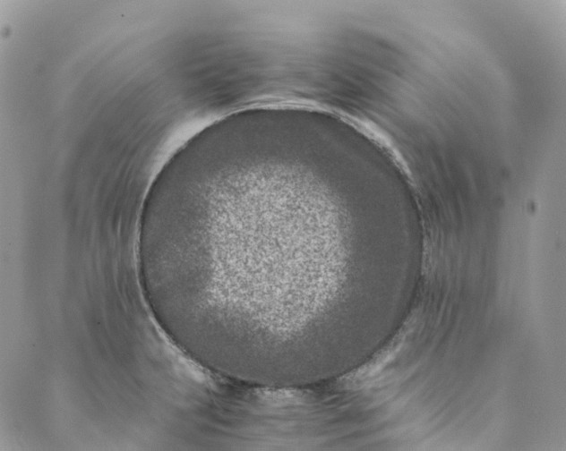 X0000089431231200706291306