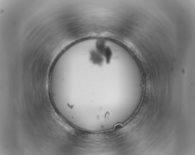 X0000089431232200706291306