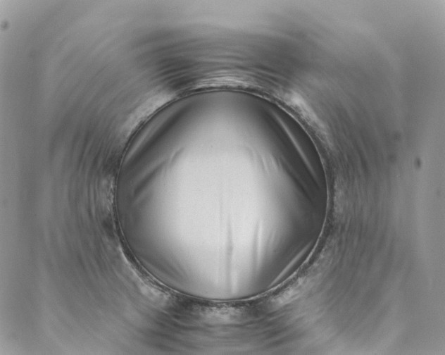 X0000089431233200706291306