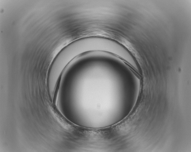 X0000089431234200706291306