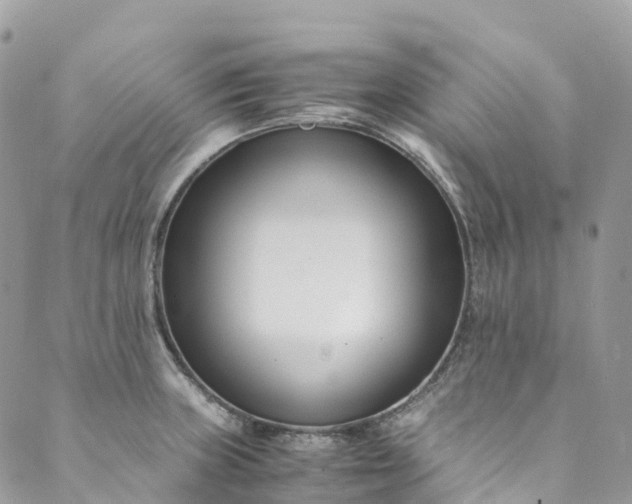 X0000089431235200706291306