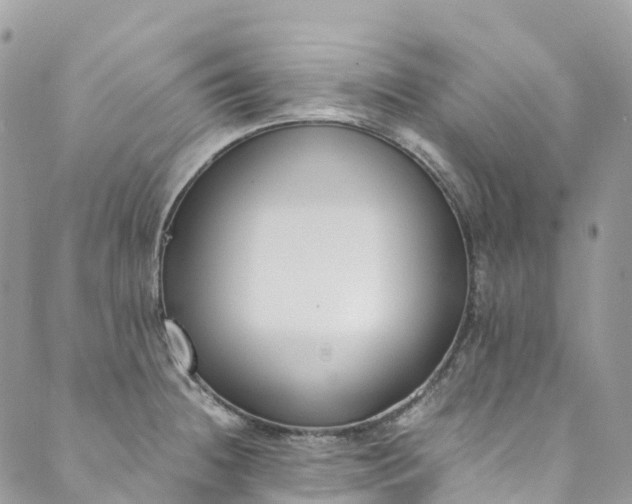 X0000089431236200706291306