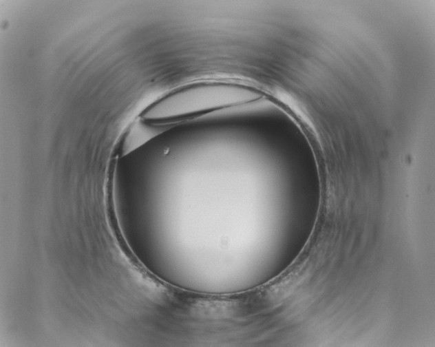 X0000089431237200706291306