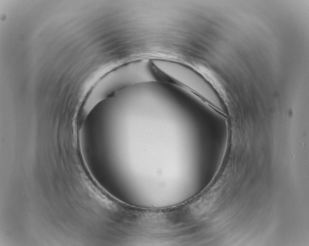 X0000089431238200706291306