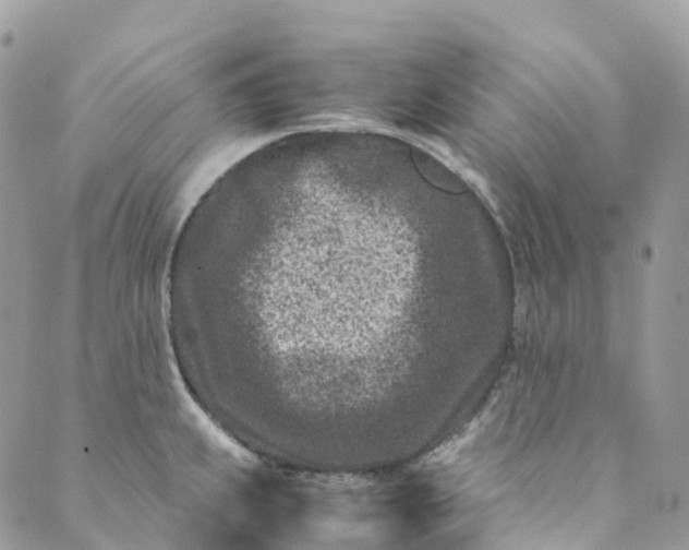 X0000089431239200706291306