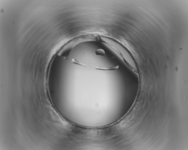 X0000089431240200706291306