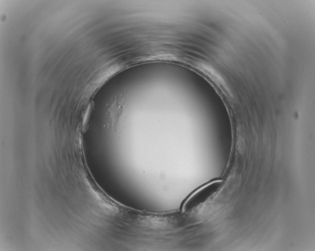 X0000089431241200706291306