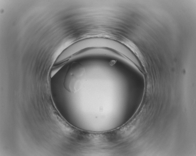 X0000089431242200706291306