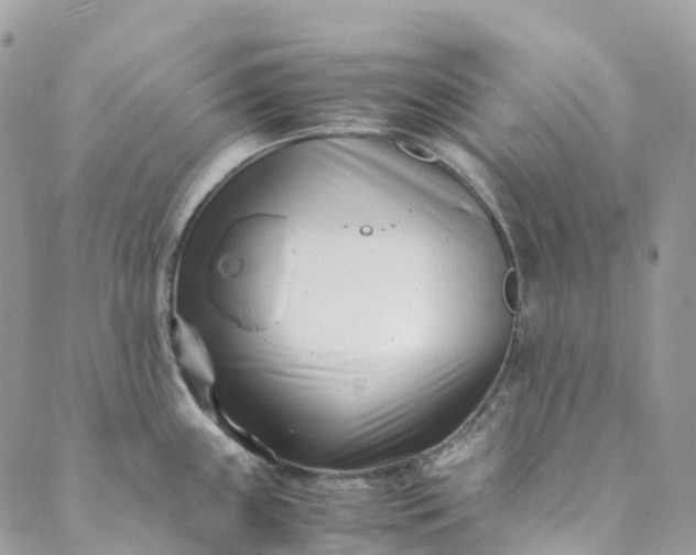 X0000089431243200706291306