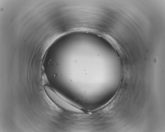 X0000089431244200706291306