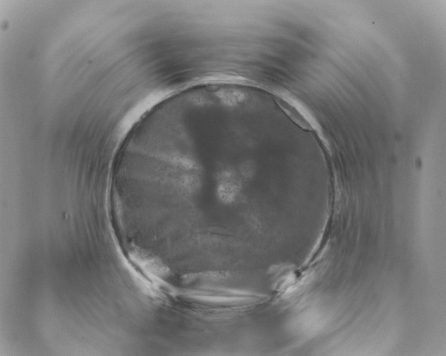 X0000089431245200706291306