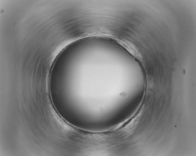 X0000089431246200706291306