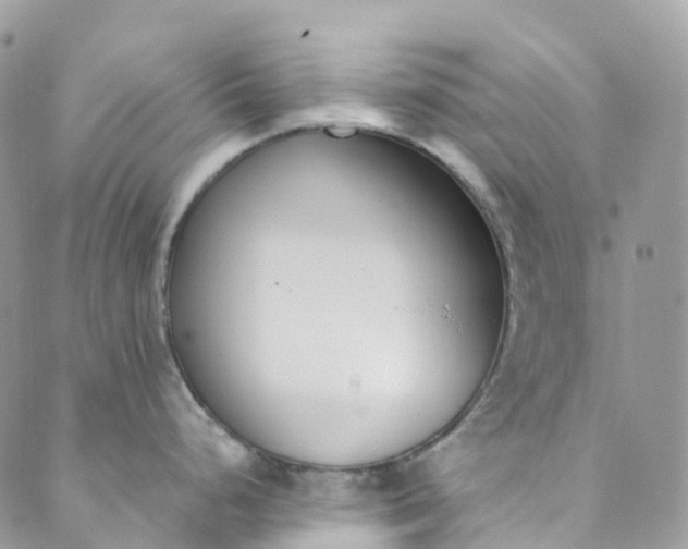 X0000089431248200706291306