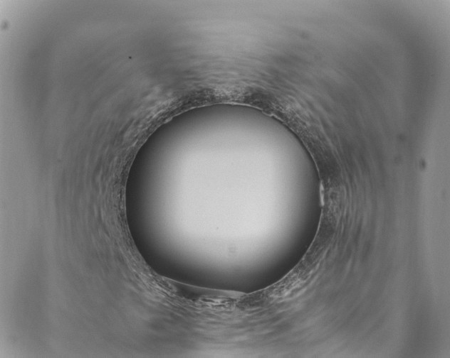 X0000089431249200706291305