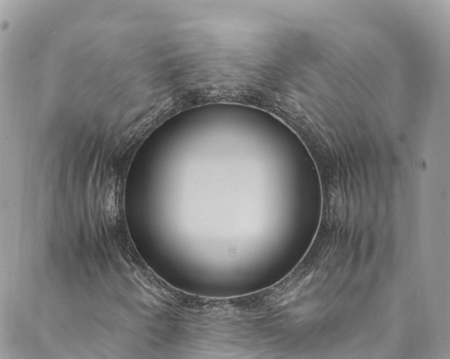 X0000089431250200706291305