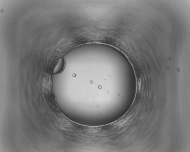 X0000089431251200706291305