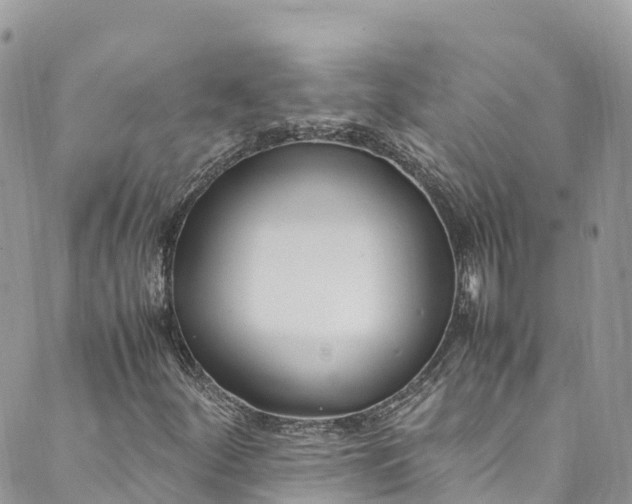 X0000089431252200706291305