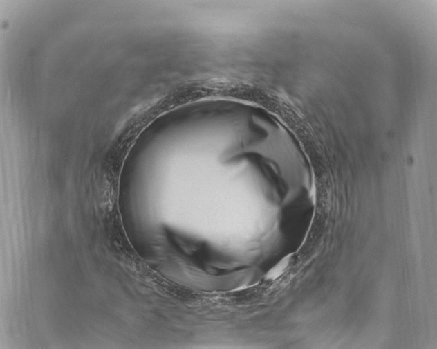 X0000089431253200706291305