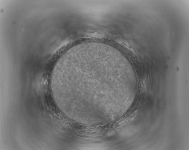 X0000089431254200706291305