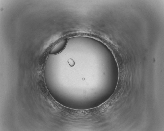 X0000089431255200706291305