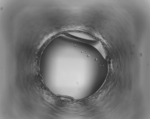 X0000089431256200706291305